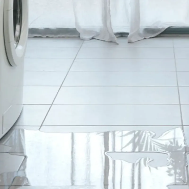 Appliance Leak Cleanup in Castanea, PA