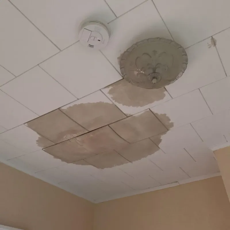 Ceiling Water Damage Repair in Castanea, PA