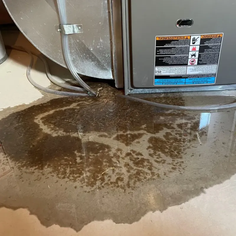 Pipe Burst and Leak Restoration in Castanea, PA