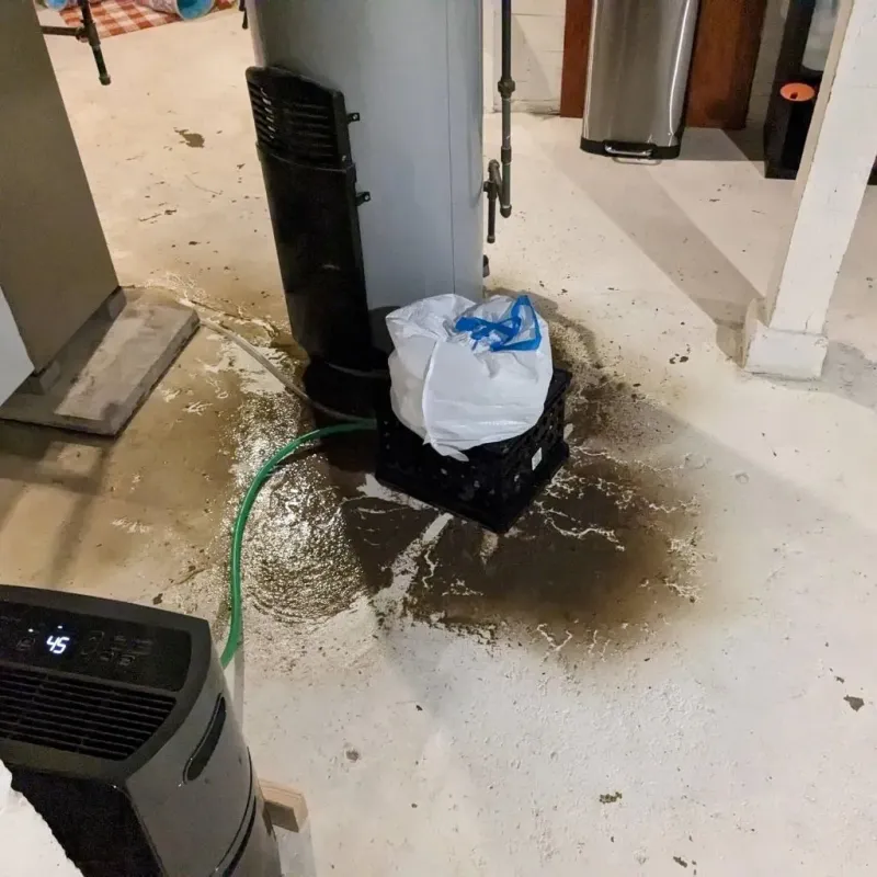 Sewage Backup Cleanup Service in Castanea, PA